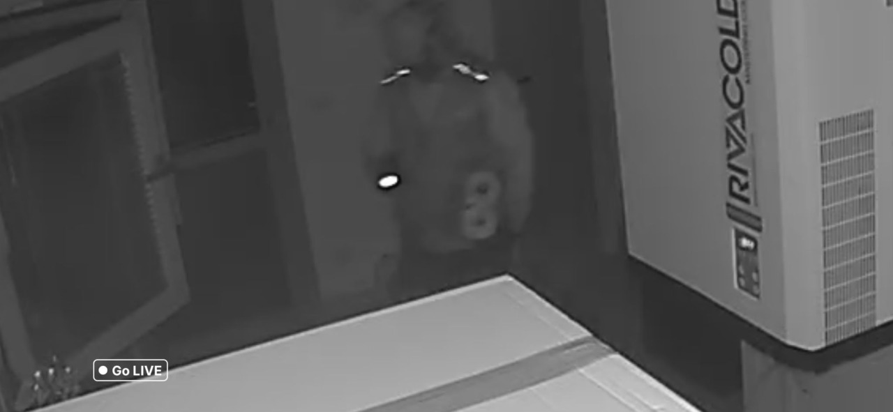 Ladri alla Tavecchio, colpo da 5mila euro