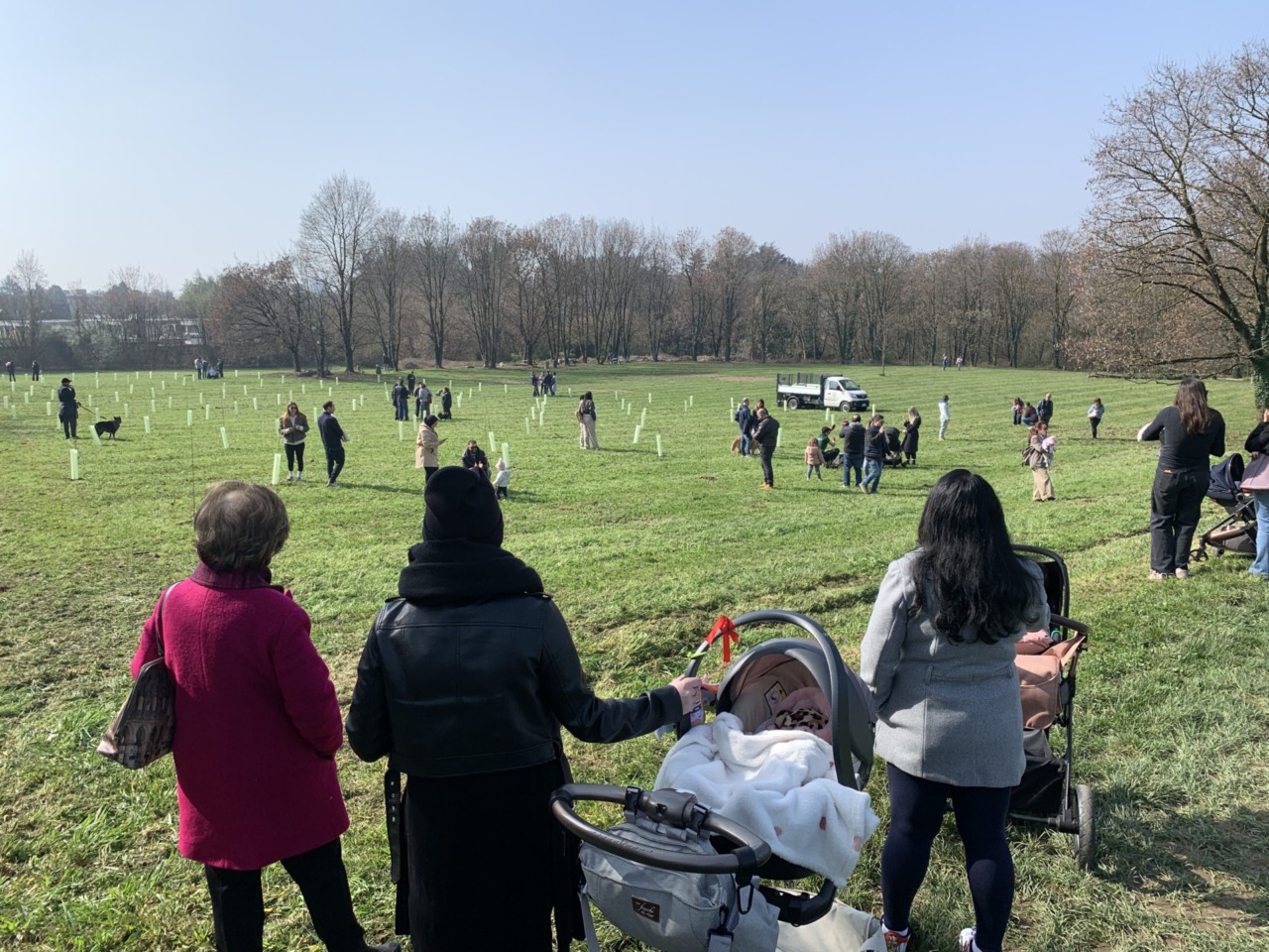 Un nuovo bosco per celebrare la vita insieme a 146 bimbe e bimbi