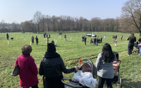 Un nuovo bosco per celebrare la vita insieme a 146 bimbe e bimbi