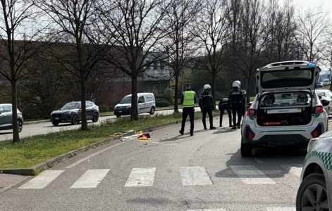 Travolge una persona e si ferma a prestare soccorso: gli investono e uccidono il cagnolino