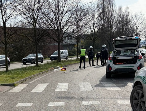 Travolge una persona e si ferma a prestare soccorso: gli investono e uccidono il cagnolino