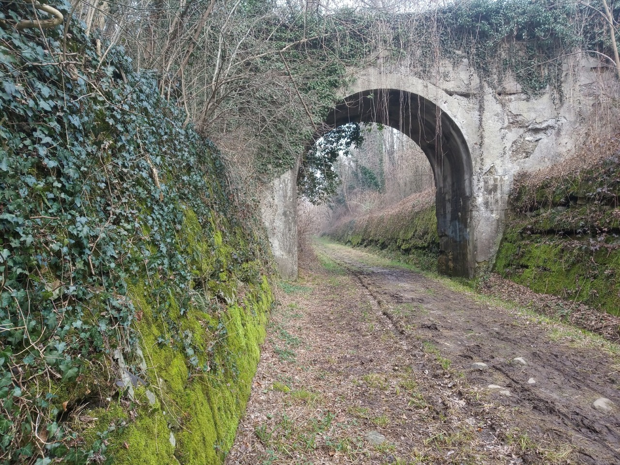 Un Parco da vivere insieme