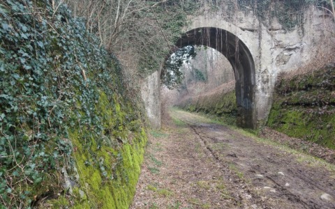 Un Parco da vivere insieme