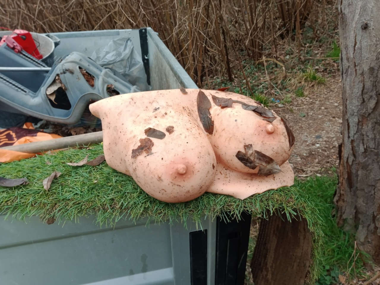 Busti da donna in silicone abbandonati nella Brughiera