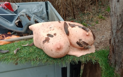 Busti da donna in silicone abbandonati nella Brughiera