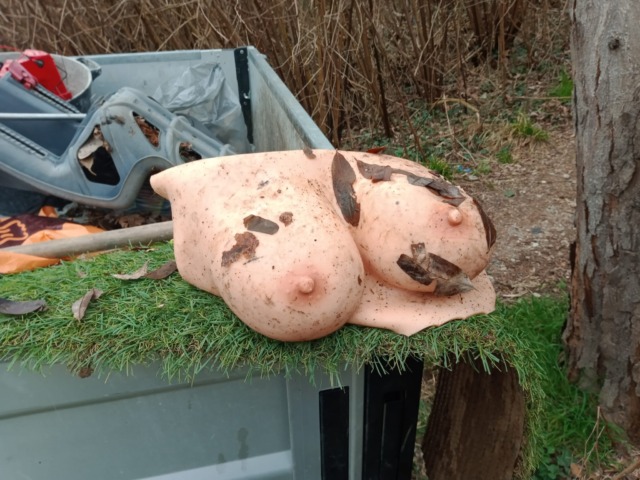 Busti da donna in silicone abbandonati nella Brughiera