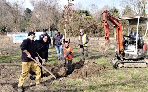 Piantalalì: due aree più verdi grazie a trenta nuove piante e centinaia di arbusti