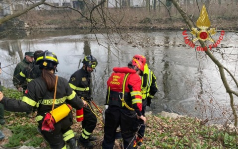 Airone in difficoltà salvato dai Vigili del Fuoco