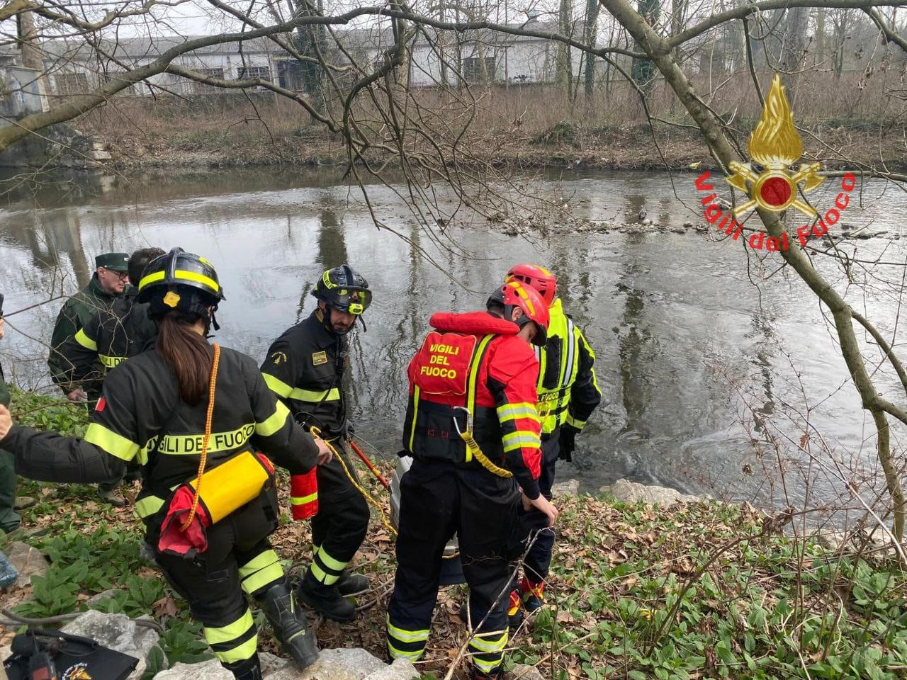 Airone in difficoltà salvato dai Vigili del Fuoco