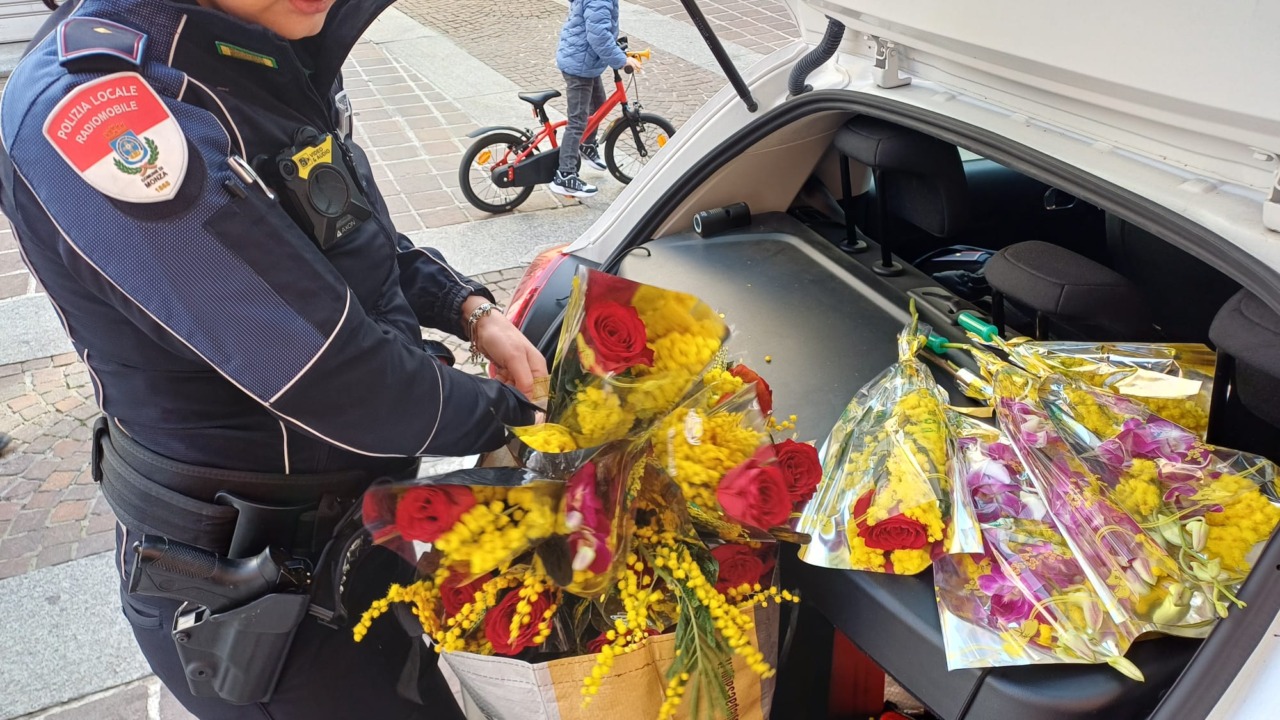 Mimose “abusive”: sequestrati 238 mazzi e multe per oltre 33mila euro