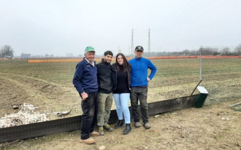 Un angolo di Olanda a Copreno: 30.900 tulipani pronti a sbocciare
