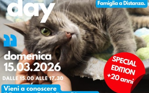 Il Progetto Famiglia a Distanza di ENPA Monza compie 20 anni