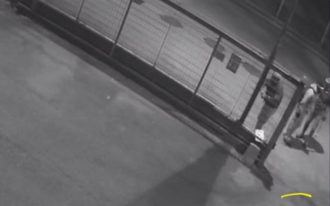 Raid notturno: commando armato di asce, flessibili e spranghe assalta tre aziende