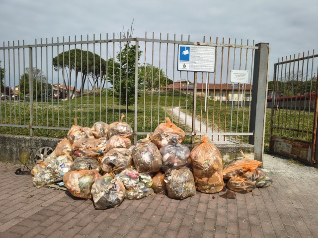 Carnate Plastic free