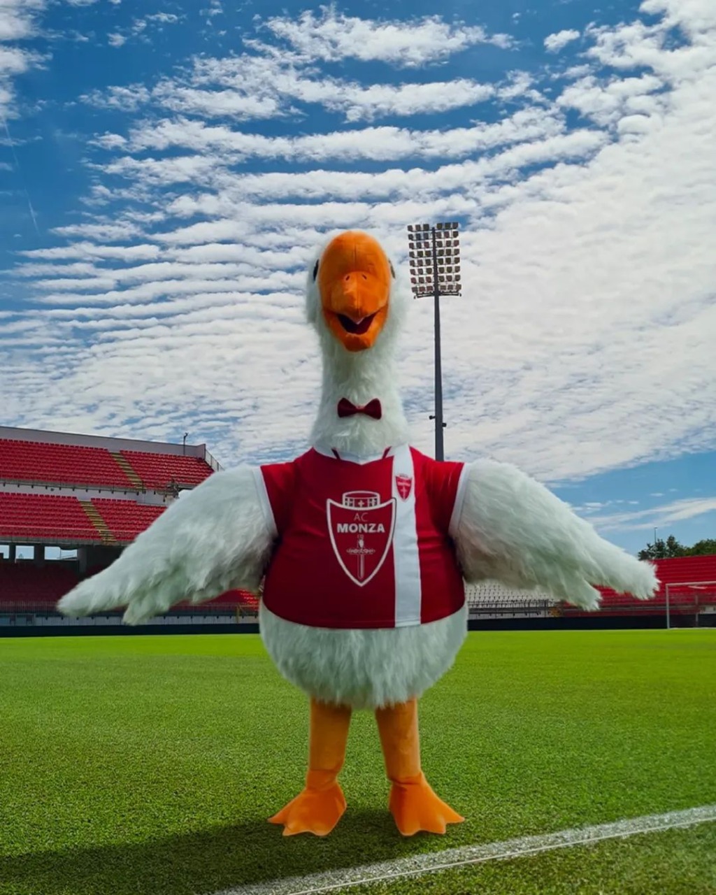 AC Monza, spunta il cigno “Lake”: il Pesce d’Aprile biancorosso fa volare la fantasia dei tifosi
