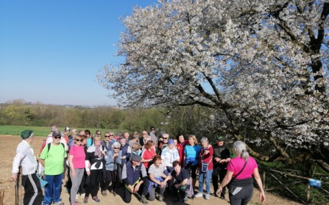 Il Gruppo di Cammino incontra la cittadinanza