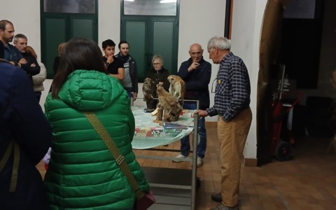 Alla scoperta dei rapaci notturni