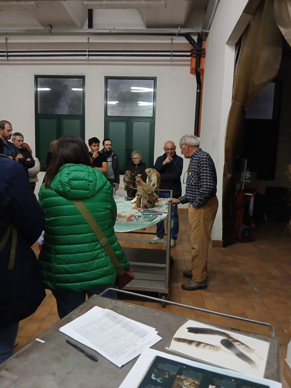 Alla scoperta dei rapaci notturni