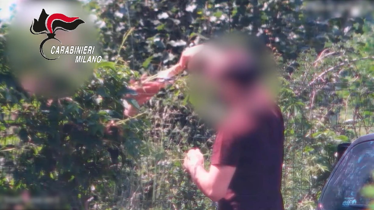 Spacciavano tra i boschi, beccati grazie alla denuncia di una mamma