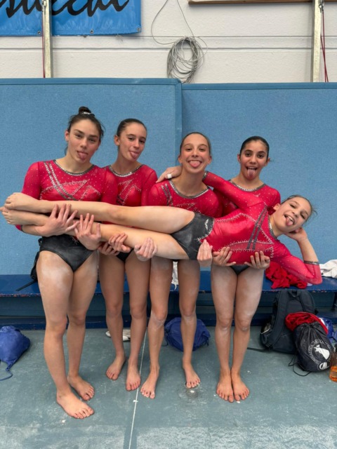 Gal Lissone Ginnastica