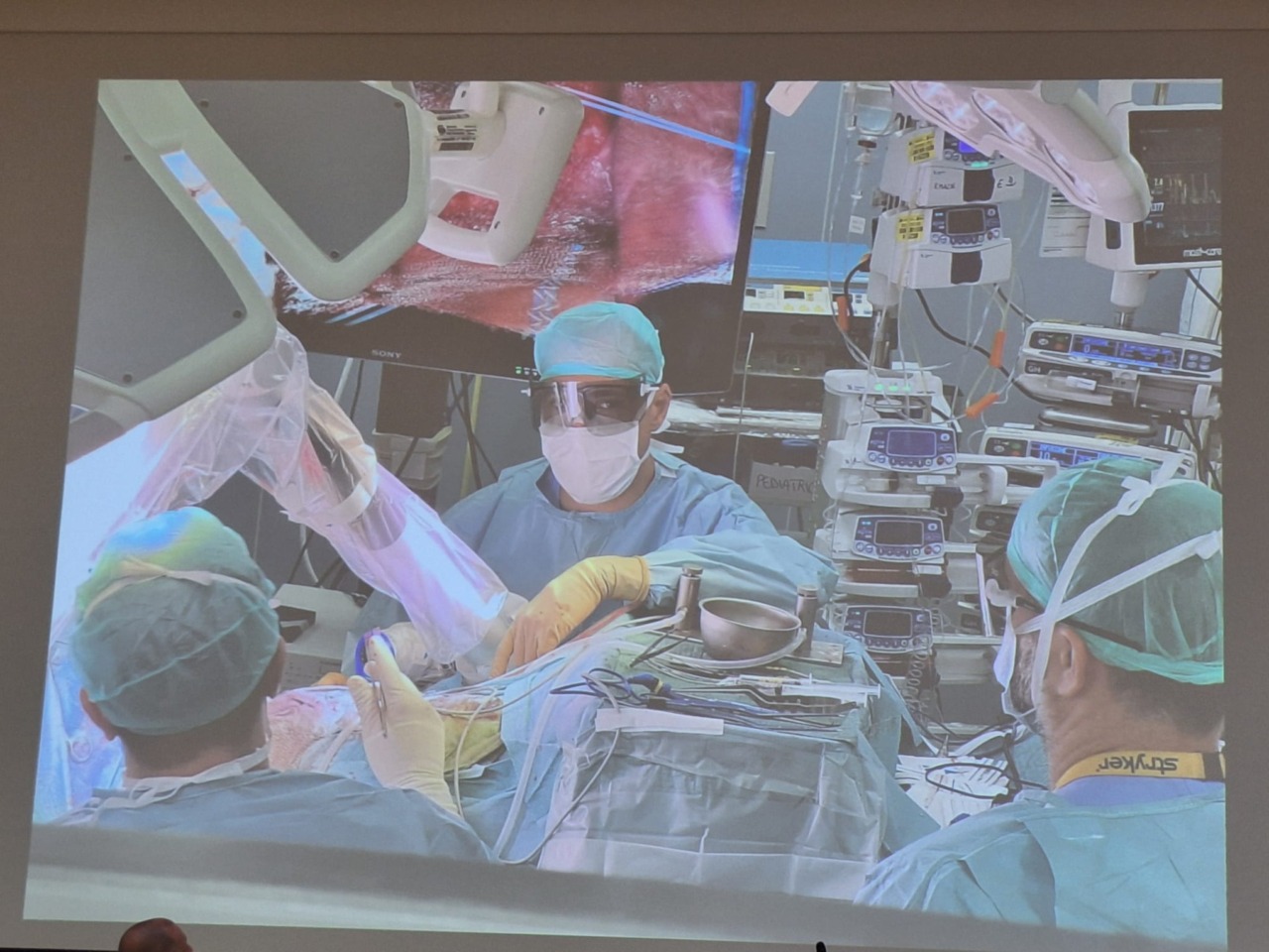 Gemelline San Gerardo