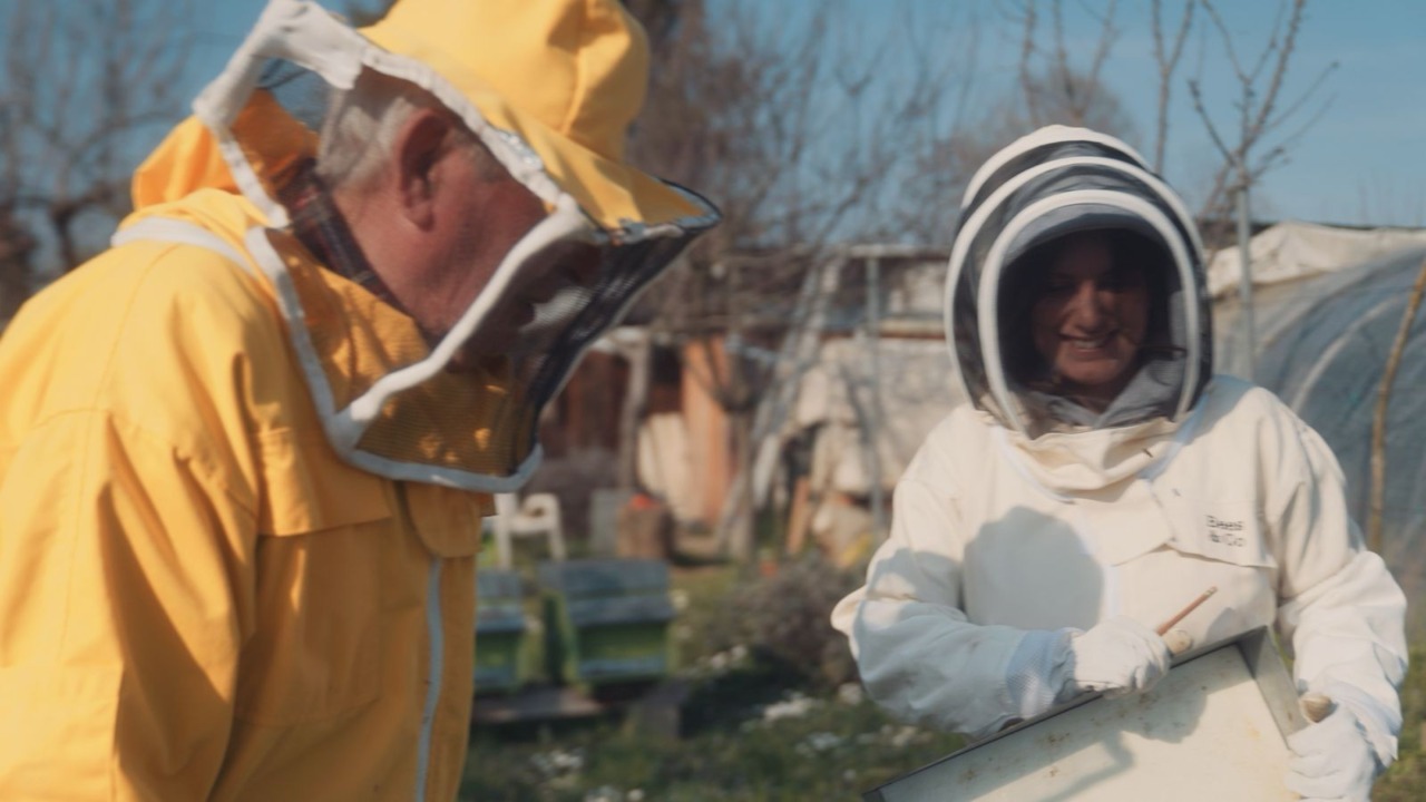 Appiccano il fuoco e uccidono le api dell’apicoltrice