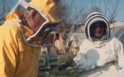 Appiccano il fuoco e uccidono le api dell’apicoltrice