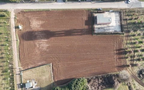 Il data center di Vimercate regala un bosco a Concorezzo