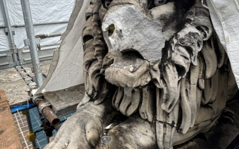 Arriva il conto, ecco quanto costerà sistemare i Leoni danneggiati