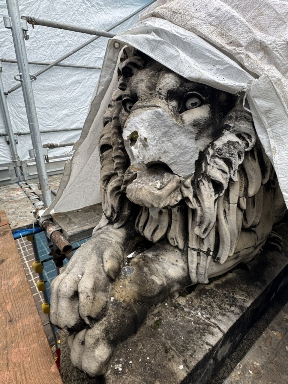 Arriva il conto, ecco quanto costerà sistemare i Leoni danneggiati