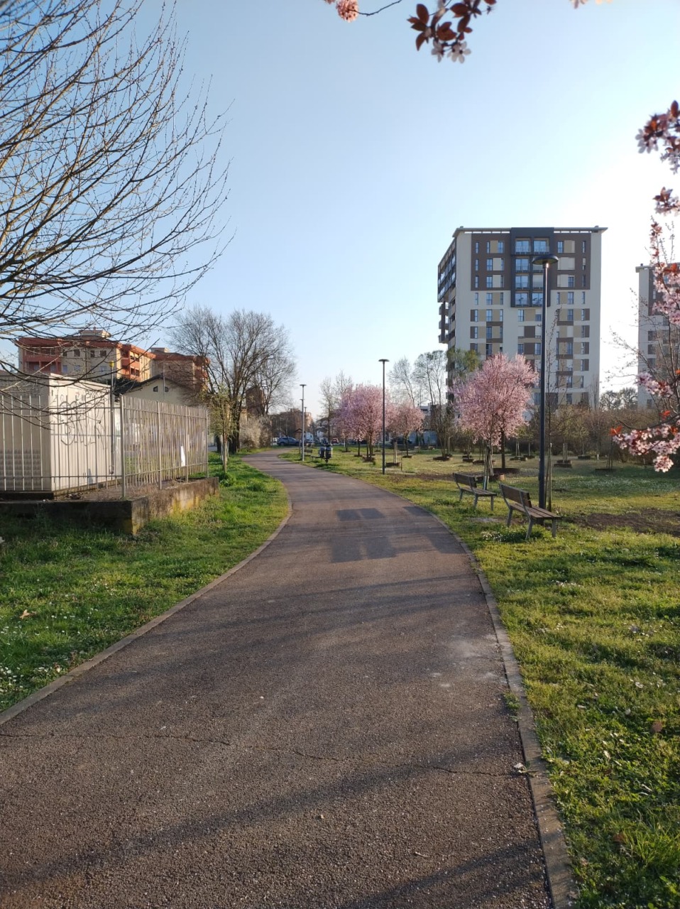 Completato il Bosco della memoria, ecco dove vanno i cantieri della luce