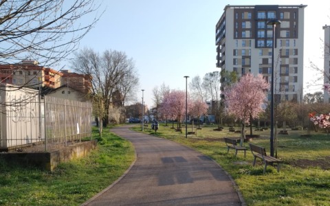 Completato il Bosco della memoria, ecco dove vanno i cantieri della luce