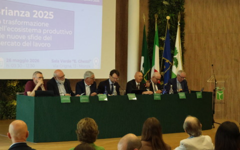 Mercato del lavoro: trasformazione produttiva e sfide occupazionali