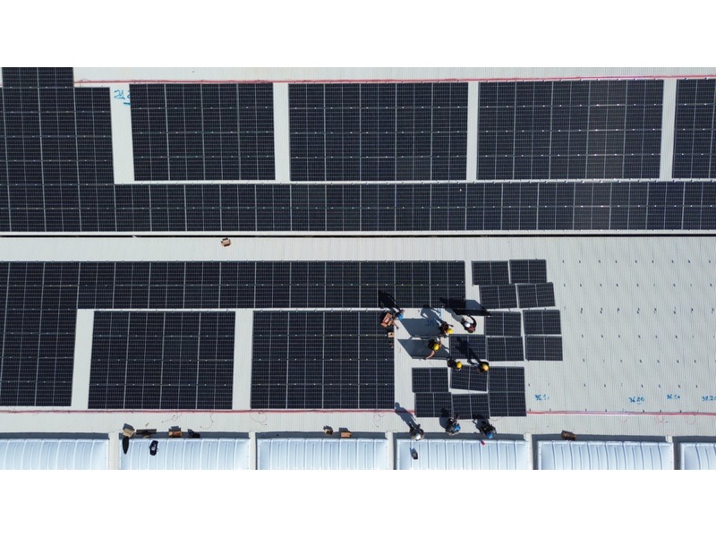 Impianto fotovoltaico per aziende: quanto si risparmia e cosa prevede la Transizione 5.0 con SENEC
