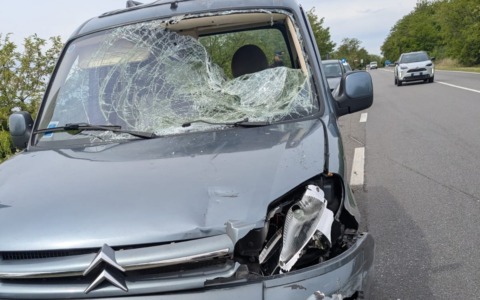 Travolto e ucciso da un automobilista che poi si allontana