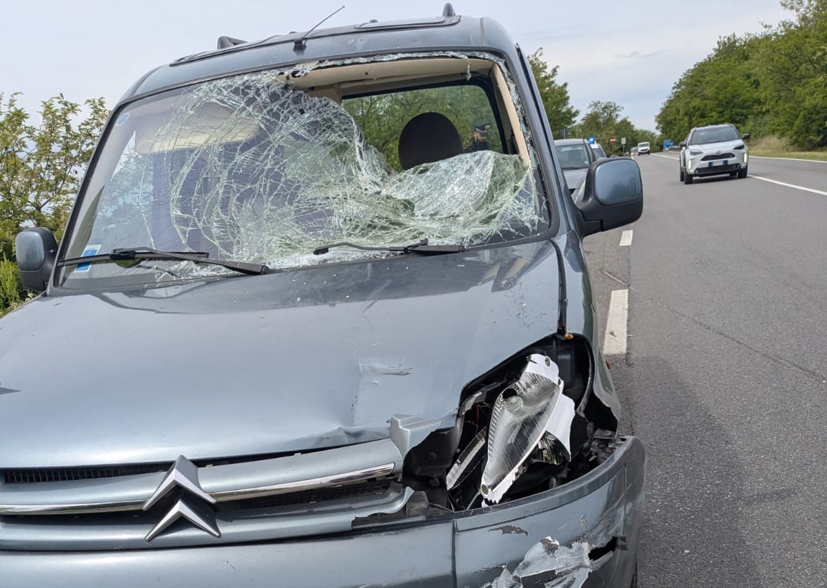 Travolto e ucciso da un automobilista che poi si allontana