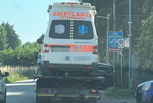 Ambulanza veterinaria senza assicurazione, fermata e sequestrata dalla Locale