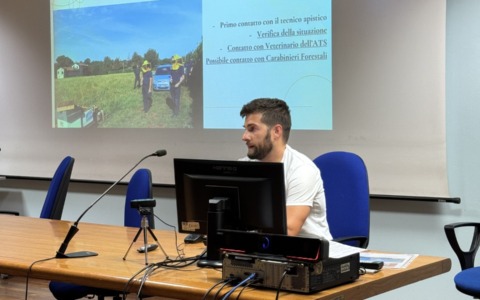 Un convegno sulla protezione delle api