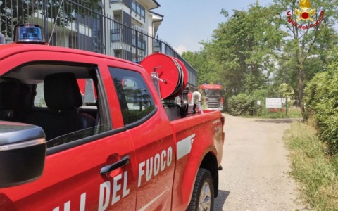 Va a fuoco un deposito di attrezzi, muoiono due gatti e degli uccelli