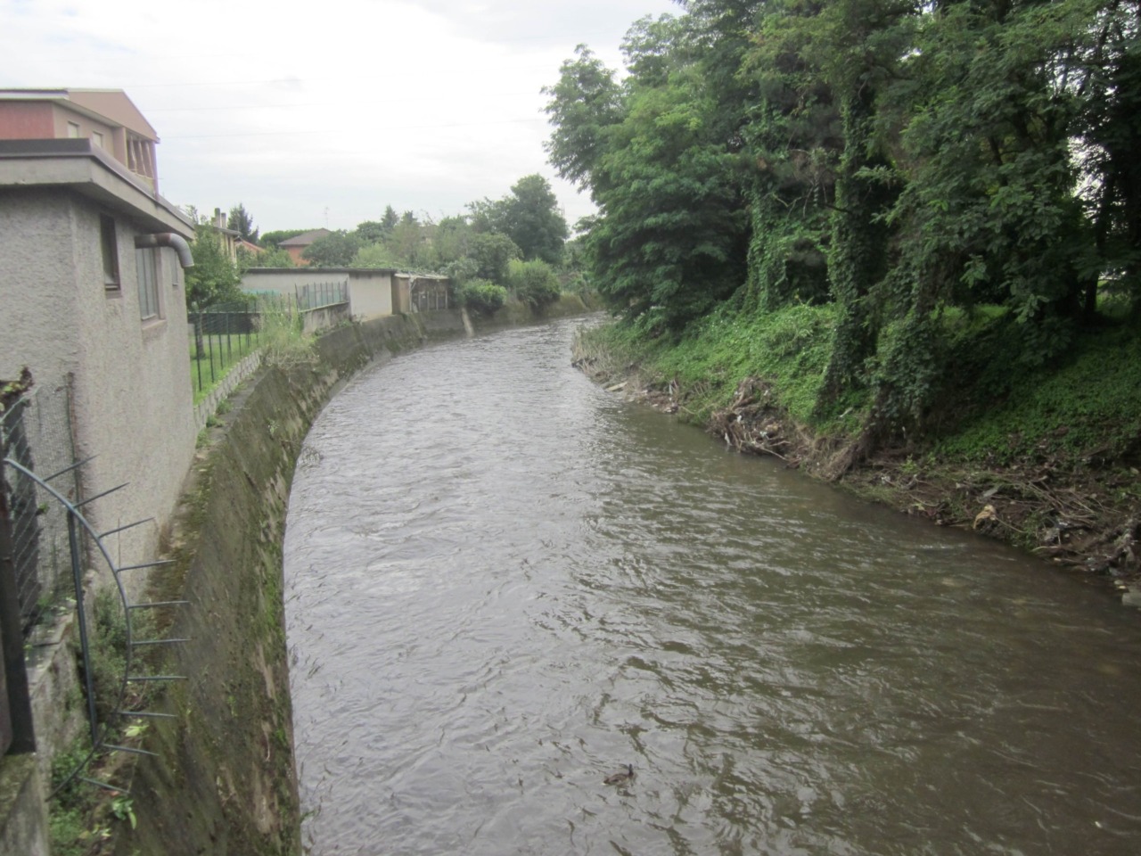 Nature Restoration Law: presentato un progetto per il ripristino ambientale del bacino del Seveso