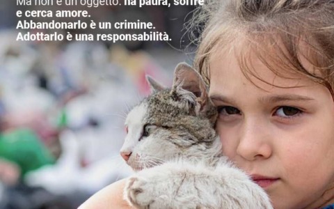 “Non buttarlo via. Non è un rifiuto”, Enpa lancia la campagna di sensibilizzazione in vista delle Giornate Antiabbandono