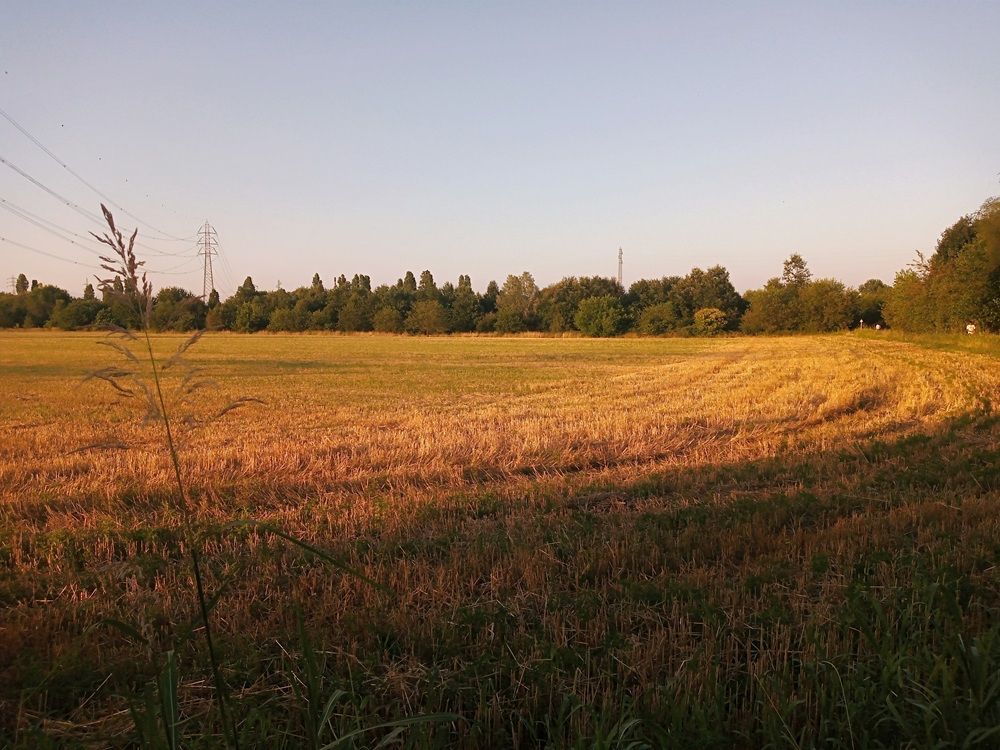 Strategia aGREENment: il piano per la sostenibilità del nord Milano