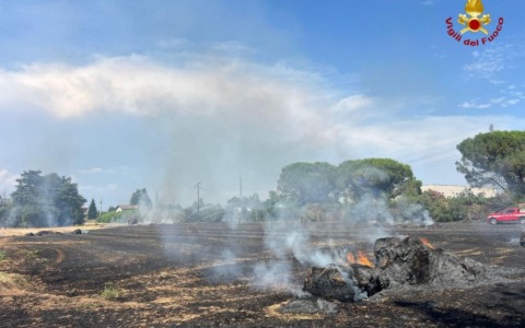 Numerosi incendi in campi e orti