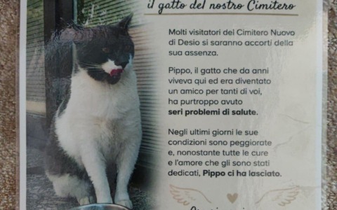 “Pippo ci ha lasciato, grazie per tutto l’affetto che ci hai donato”