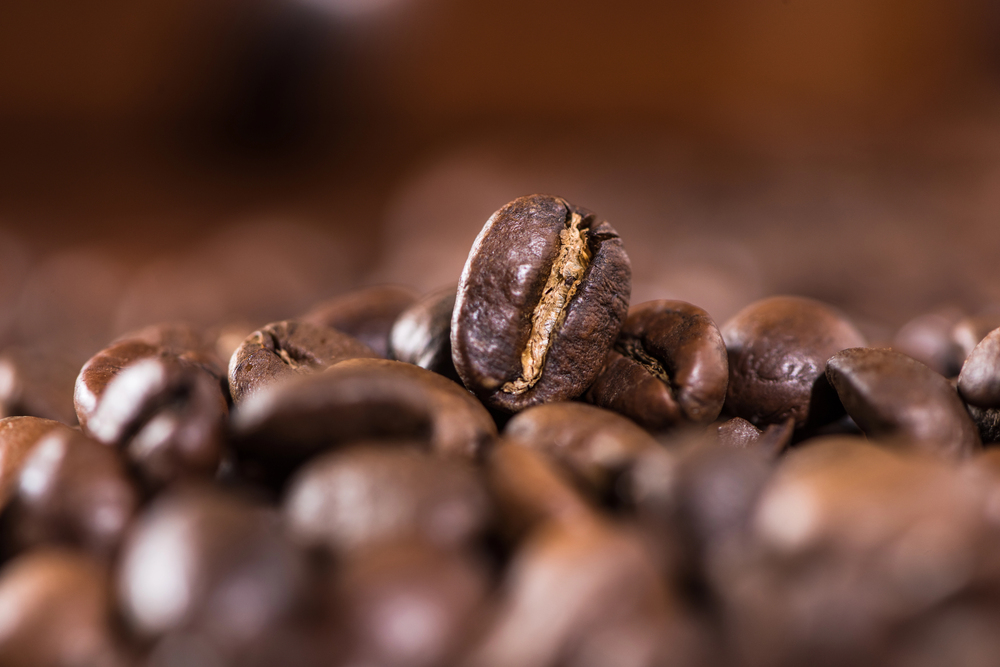 Macchina caffè Lelit: la scelta per chi ama l’espresso di qualità a casa