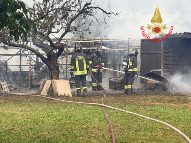Incendio in un terreno agricolo: in fiamme sterpaglie, rotoballe e capanni