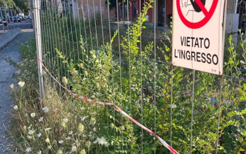 Cantieri abbandonati tra erbacce e degrado: «Città Metropolitana intervenga per garantire cura e sicurezza»