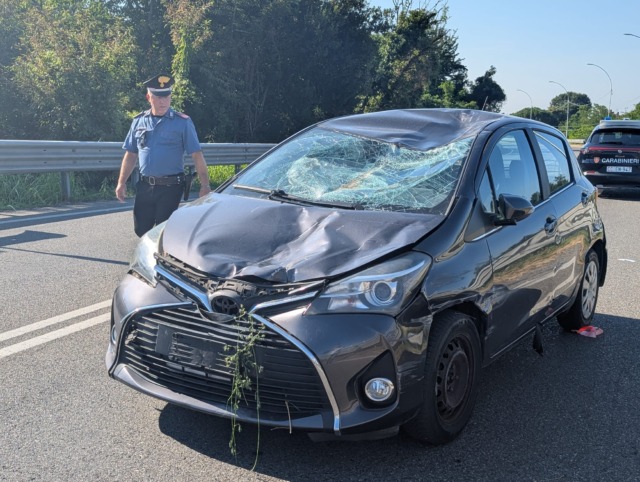 Incidente sulla Sp 6, è deceduto il ciclista travolto in bici