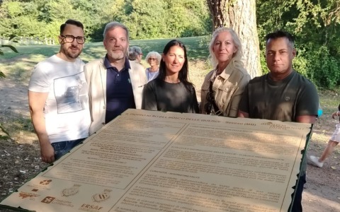 Una targa per il grande pioppo albero monumentale