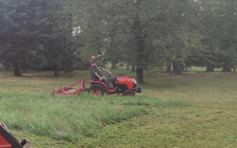 “Più risorse per il verde pubblico”, superata l’emergenza